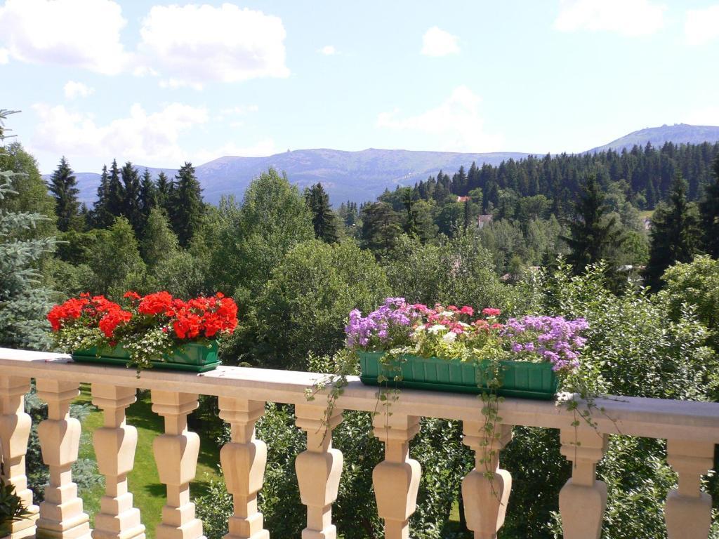 Hotel Villa Romantica Szklarska Poreba Bagian luar foto